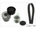 Sada žebrovaných klínových řemenů Schaeffler INA 529 0015 20