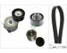 Sada žebrovaných klínových řemenů Schaeffler INA 529 0046 22