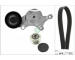 Sada žebrovaných klínových řemenů Schaeffler INA 529 0261 20