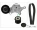 Sada žebrovaných klínových řemenů Schaeffler INA 529 0261 25