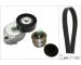 Sada žebrovaných klínových řemenů Schaeffler INA 529 0375 20