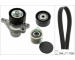 Sada žebrovaných klínových řemenů Schaeffler INA 529 0423 21