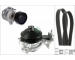 Vodní pumpa + klinový żebrový řemen Schaeffler INA 529 0605 30