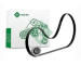 Sada žebrovaných klínových řemenů Schaeffler INA 529 4183 10