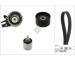 ozubení,sada rozvodového řemene Schaeffler INA 530 0969 10