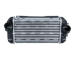 Chladič plniaceho vzduchu NRF 309066