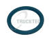 Těsnicí kroužek, hlavní hřídel převodovky TRUCKTEC AUTOMOTIVE 01.67.001
