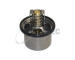 Termostat, chladivo TRUCKTEC AUTOMOTIVE 03.19.097