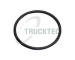 Těsnicí kroužek, čep nápravy TRUCKTEC AUTOMOTIVE 03.31.034
