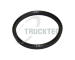 Těsnění, kolektor výfukových plynů TRUCKTEC AUTOMOTIVE 03.39.012