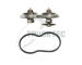 Termostat, chladivo TRUCKTEC AUTOMOTIVE 04.19.102