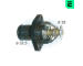 Termostat, chladivo ERA 350056