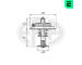 Termostat, chladivo ERA 350348