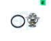 Termostat, chladivo ERA 350610A