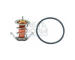 Termostat, chladivo MEAT & DORIA 92715IN