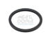 Tesnenie termostatu MEAT & DORIA 01656