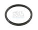 Tesnenie termostatu MEAT & DORIA 016103