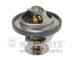 Termostat, chladivo NIPPARTS J1532029