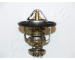 Termostat, chladivo ASHIKA 22-023