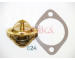 Termostat, chladivo ASHIKA 22-024