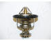Termostat, chladivo ASHIKA 22-041
