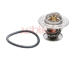 Termostat, chladivo ASHIKA 38-00-0300