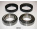 Sada ložisek kol ASHIKA 44-15003