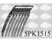 Ozubený klinový remeň SASIC 5PK1515