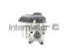 AGR-Ventil INTERMOTOR 14462
