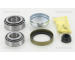 Sada ložisek kol KAWE 8530 10242