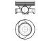 Píst MAHLE 021 PI 00118 100