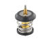 Termostat, chladivo TOPRAN 113 297