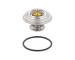 Termostat, chladivo TOPRAN 500 546