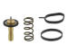 Termostat, chladivo TOPRAN 304 989