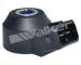 Senzor klepání WALKER PRODUCTS 242-1055