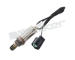 Lambda sonda WALKER PRODUCTS 250-21061