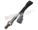 Lambda sonda WALKER PRODUCTS 250-241116
