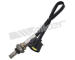 Lambda sonda WALKER PRODUCTS 250-241117