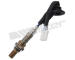 Lambda sonda WALKER PRODUCTS 250-24231