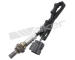 Lambda sonda WALKER PRODUCTS 250-24429