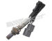 Lambda sonda WALKER PRODUCTS 250-24473