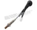Lambda sonda WALKER PRODUCTS 250-24486