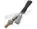 Lambda sonda WALKER PRODUCTS 250-24487