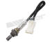 Lambda sonda WALKER PRODUCTS 250-24497
