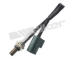 Lambda sonda WALKER PRODUCTS 250-24951