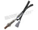 Lambda sonda WALKER PRODUCTS 250-24969