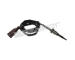 Cidlo, teplota vyfukovych plynu WALKER PRODUCTS 273-20487
