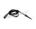 Cidlo, teplota vyfukovych plynu WALKER PRODUCTS 273-20488