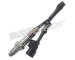 Lambda sonda WALKER PRODUCTS 350-64093