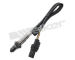Lambda sonda WALKER PRODUCTS 800-95015